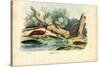 Limax Snail, 1863-79-Raimundo Petraroja-Stretched Canvas