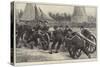 Limber Up! Bluejackets at Field-Gun Drill at the Royal Naval Exhibition-William Heysham Overend-Stretched Canvas