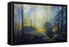 Limberlost 2013 Forest USA-Lee Campbell-Framed Stretched Canvas