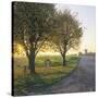 Limburg, Crucifix Along the Road and the Windmill Van Tienhovenmolen Near Wifshuis-Marcel Malherbe-Stretched Canvas