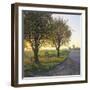 Limburg, Crucifix Along the Road and the Windmill Van Tienhovenmolen Near Wifshuis-Marcel Malherbe-Framed Photographic Print