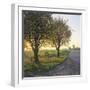 Limburg, Crucifix Along the Road and the Windmill Van Tienhovenmolen Near Wifshuis-Marcel Malherbe-Framed Photographic Print