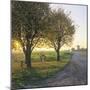 Limburg, Crucifix Along the Road and the Windmill Van Tienhovenmolen Near Wifshuis-Marcel Malherbe-Mounted Photographic Print