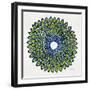 Lime and Navy Peacock-Cat Coquillette-Framed Giclee Print