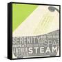 Lime Bath Time II-SD Graphics Studio-Framed Stretched Canvas