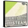 Lime Bath Time II-SD Graphics Studio-Framed Stretched Canvas