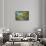 Lime blossoms-Christine Meder stage-art.de-Framed Stretched Canvas displayed on a wall