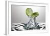 Lime Fresh Splash-Steve Gadomski-Framed Photographic Print