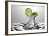 Lime Fresh Splash-Steve Gadomski-Framed Photographic Print
