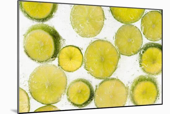 Lime Fresh-Steve Gadomski-Mounted Photographic Print