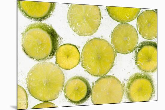 Lime Fresh-Steve Gadomski-Mounted Premium Photographic Print