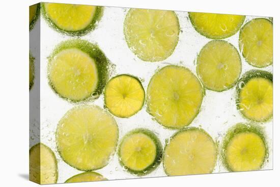 Lime Fresh-Steve Gadomski-Stretched Canvas