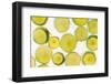 Lime Fresh-Steve Gadomski-Framed Photographic Print