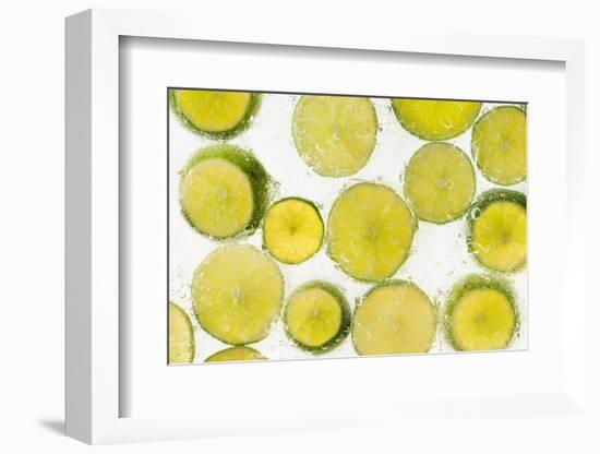 Lime Fresh-Steve Gadomski-Framed Photographic Print