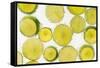 Lime Fresh-Steve Gadomski-Framed Stretched Canvas