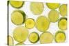 Lime Fresh-Steve Gadomski-Stretched Canvas