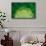 Lime FreshSplash Number 2-Steve Gadomski-Framed Stretched Canvas displayed on a wall