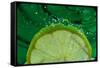 Lime FreshSplash Number 2-Steve Gadomski-Framed Stretched Canvas