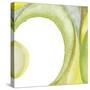 Lime Geometric II-Chris Paschke-Stretched Canvas