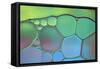 Lime Green and Blue Stained Glass-Cora Niele-Framed Stretched Canvas