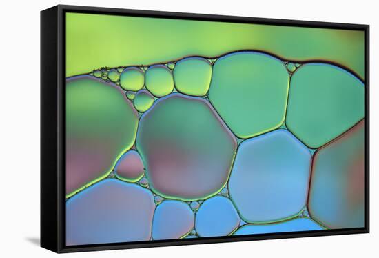 Lime Green and Blue Stained Glass-Cora Niele-Framed Stretched Canvas