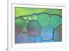 Lime Green and Blue Stained Glass-Cora Niele-Framed Photographic Print