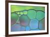 Lime Green and Blue Stained Glass-Cora Niele-Framed Photographic Print