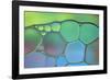Lime Green and Blue Stained Glass-Cora Niele-Framed Photographic Print