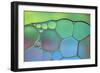 Lime Green and Blue Stained Glass-Cora Niele-Framed Photographic Print