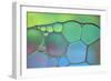 Lime Green and Blue Stained Glass-Cora Niele-Framed Photographic Print