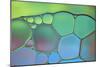 Lime Green and Blue Stained Glass-Cora Niele-Mounted Photographic Print