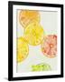 Lime in Around I-Rikki Drotar-Framed Giclee Print