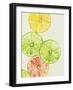 Lime in Around III-Rikki Drotar-Framed Giclee Print