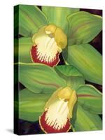 Lime Orchid I-Jason Higby-Stretched Canvas