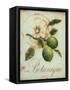 Lime Recollection-Regina-Andrew Design-Framed Stretched Canvas