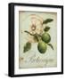 Lime Recollection-Regina-Andrew Design-Framed Art Print