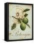 Lime Recollection-Regina-Andrew Design-Framed Stretched Canvas