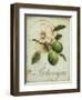 Lime Recollection-Regina-Andrew Design-Framed Art Print