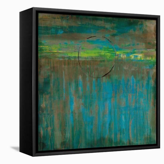 Lime Slice I-Liz Jardine-Framed Stretched Canvas