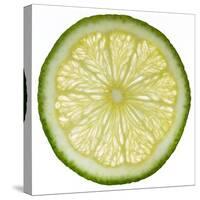Lime Slice-Steve Gadomski-Stretched Canvas