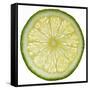 Lime Slice-Steve Gadomski-Framed Stretched Canvas