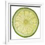 Lime Slice-Steve Gadomski-Framed Photographic Print