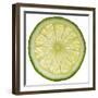 Lime Slice-Steve Gadomski-Framed Photographic Print