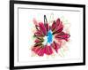 Lime Spash Flower-Elle Stewart-Framed Art Print