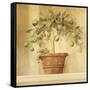 Lime Topiary-Hampton Hall-Framed Stretched Canvas