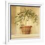 Lime Topiary-Hampton Hall-Framed Giclee Print