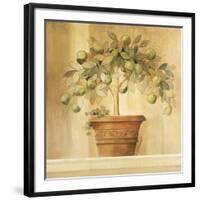 Lime Topiary-Hampton Hall-Framed Giclee Print