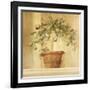 Lime Topiary-Hampton Hall-Framed Giclee Print