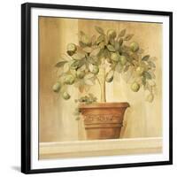 Lime Topiary-Hampton Hall-Framed Giclee Print