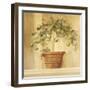 Lime Topiary-Hampton Hall-Framed Giclee Print